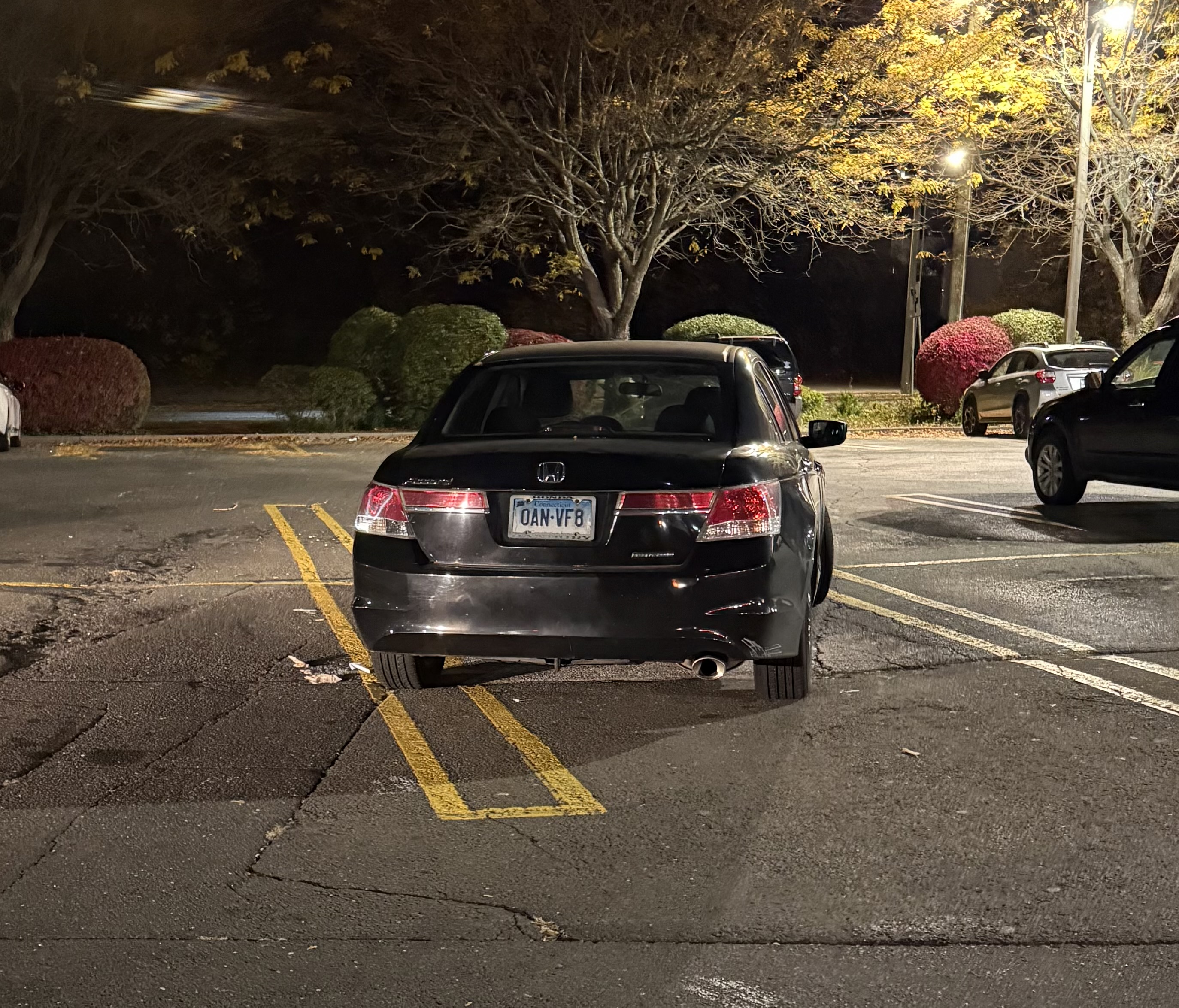 another important fool